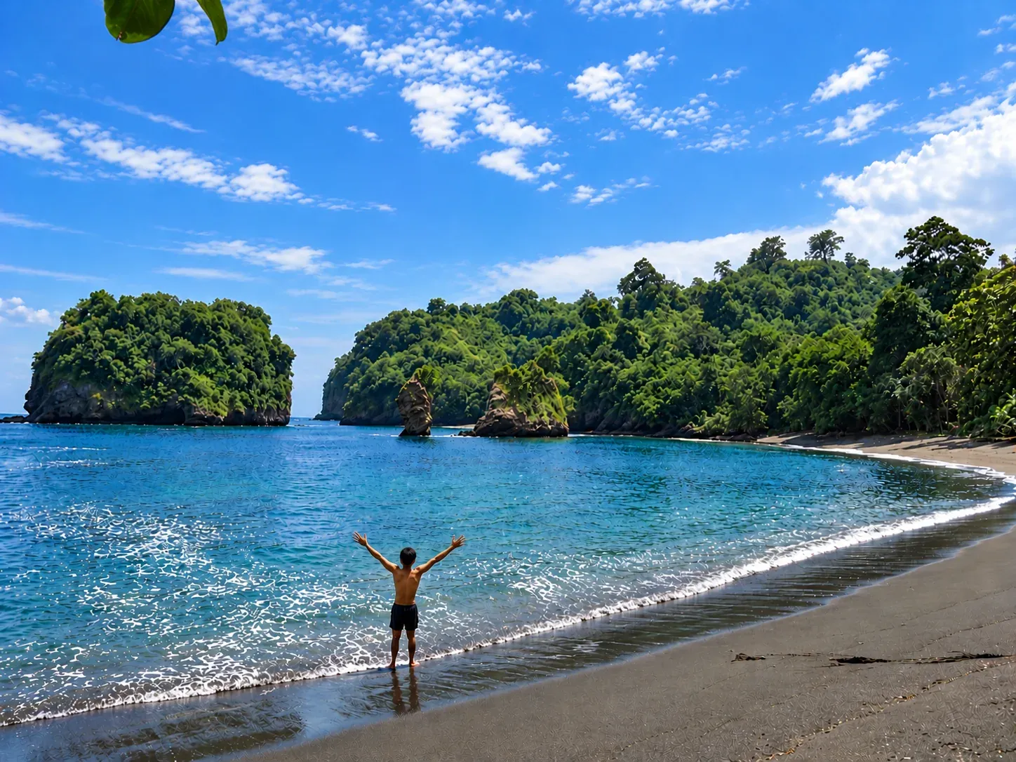 Pantai Licin Malang dengan pasir hitam, batu karang, dan tebing hijau