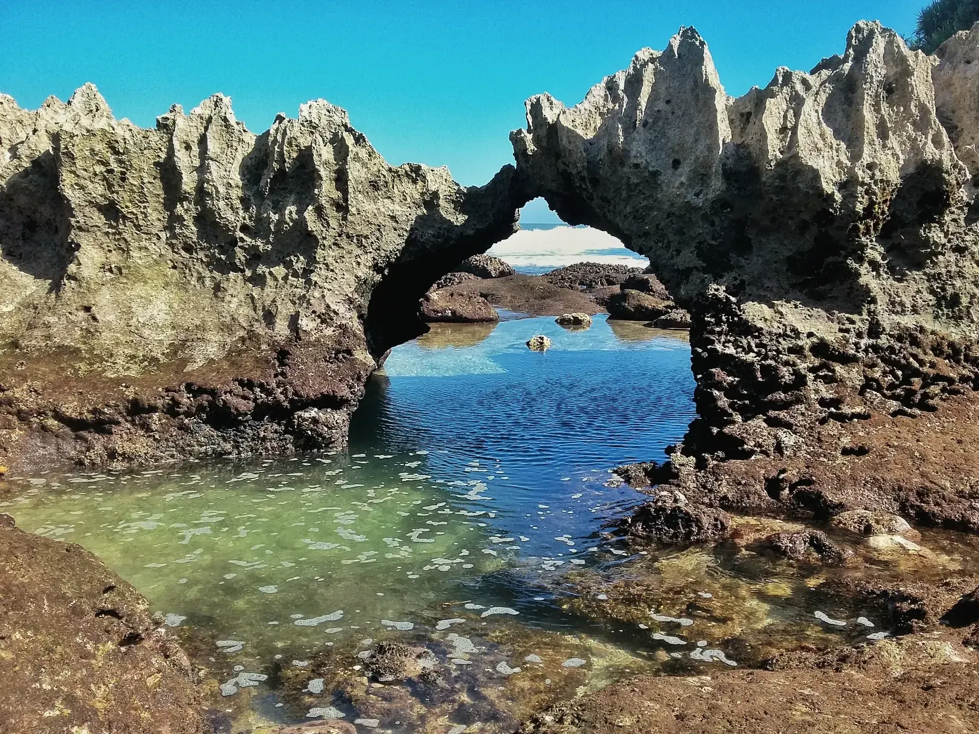 Karang bolong, batu karang berlubang alami dengan air jernih di Pantai Ngliyep