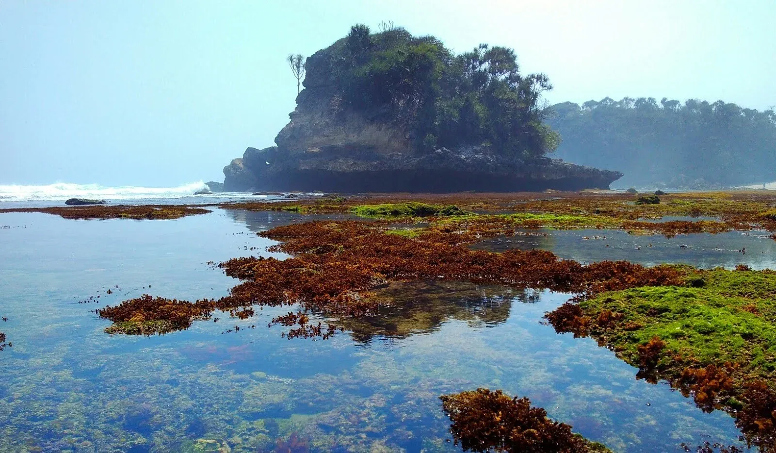 Tebing karang dan air jernih di Pantai Jonggring Saloka