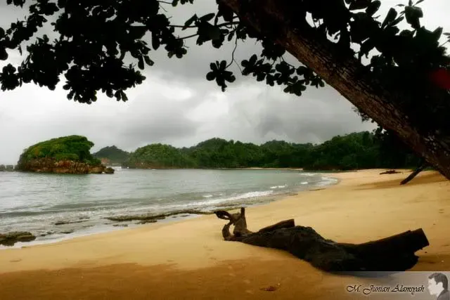 Pantai Kondang Bandung dengan hamparan pasir luas dan perbukitan hijau di Malang Selatan