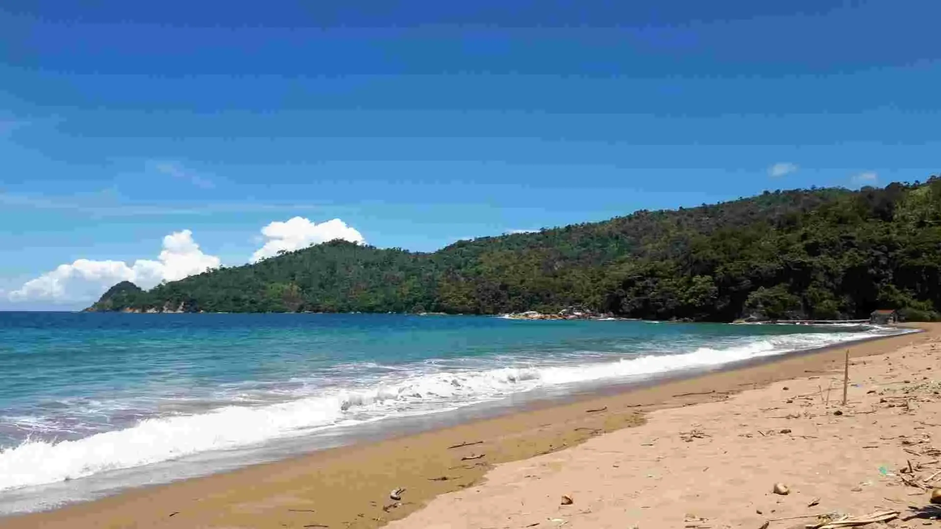 Pantai Sidoasri dengan laut biru dan bukit hijau